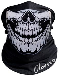 Skull Balaclava Half Mask