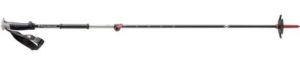 best backcountry ski poles